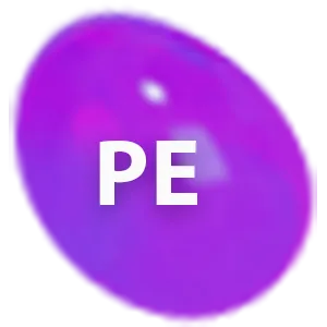 PE