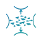 分選